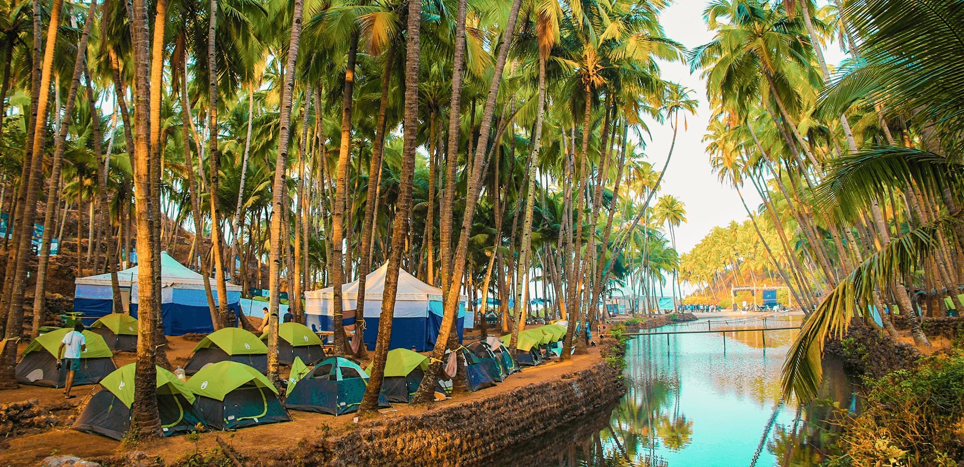 Seaside Startup Summit campsite among palm trees in Goa